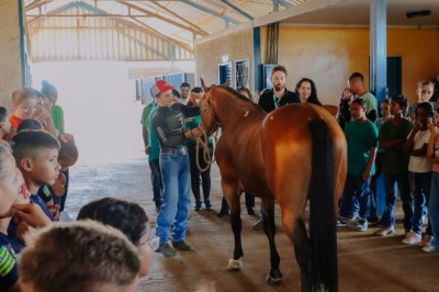 Haras vira sala de aula: jovens dos programas Guardiões Ambientais e Guarda Mirim vivenciam manejo e cuidados com animais