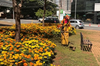 Goiânia recebe mutirão de paisagismo: mais de 90 endereços atendidos em três dias