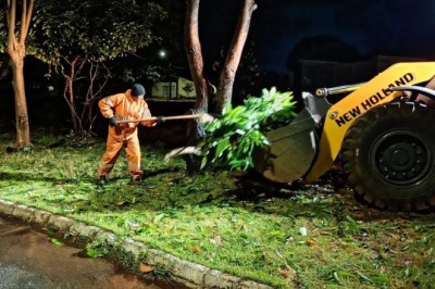 Temporal em Goiânia: 27 árvores caem e Comurg retira 105 toneladas de resíduos; veja os pontos afetados