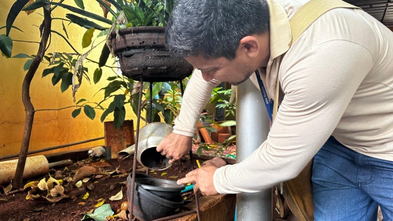 Chuvas retornam e Goiânia reforça combate ao Aedes: casos de chikungunya já superam todo 2025