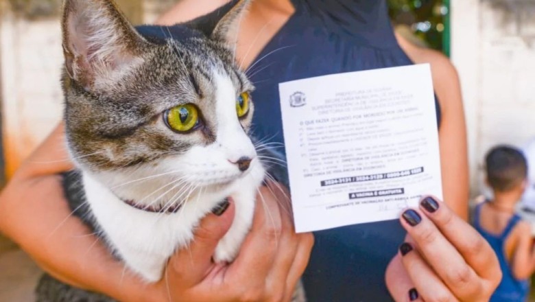 Goiânia vacina mais de 74 mil cães e gatos contra a raiva em dois dias de campanha