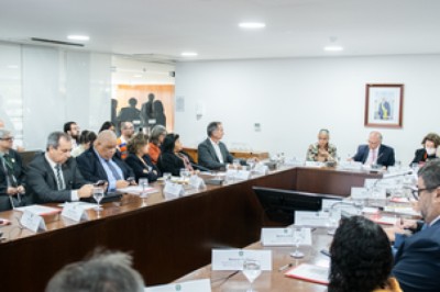 Desmatamento cai 77,2% no Pantanal e 57,2% no Cerrado entre agosto e novembro de 2024