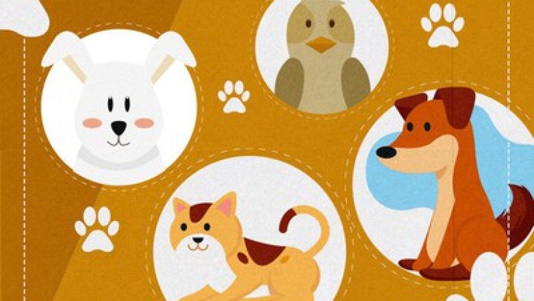 Lei autoriza criação do Cadastro Nacional de Animais de Estimação