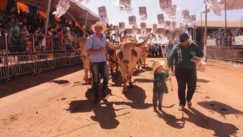 Documentário celebra a tradição dos carreiros e muladeiros em Goiás