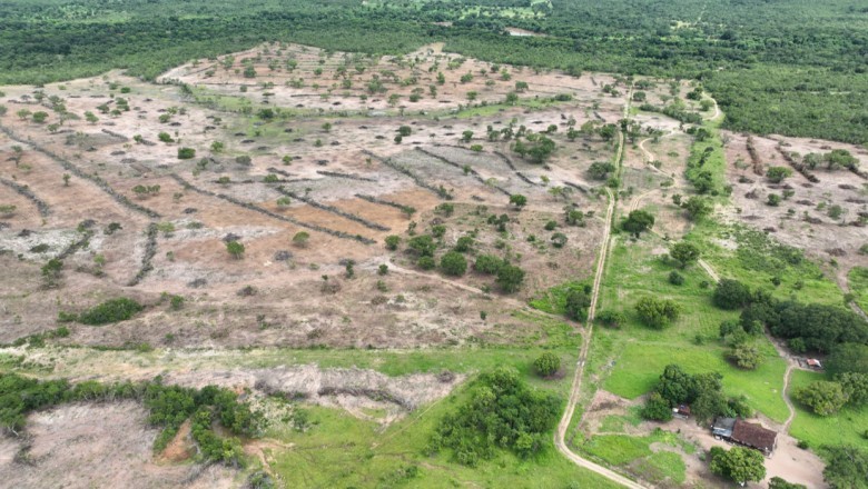 Fiscalização flagra desmatamento ilegal de 132 hectares em Teresina de Goiás
