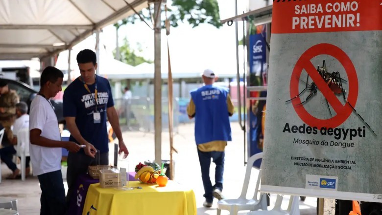 Casos de dengue no Brasil caem 60% nas primeiras semanas do ano