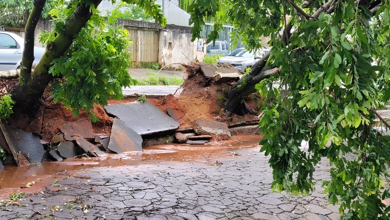 Uruaçu autoriza remoção planejada de árvores em áreas públicas