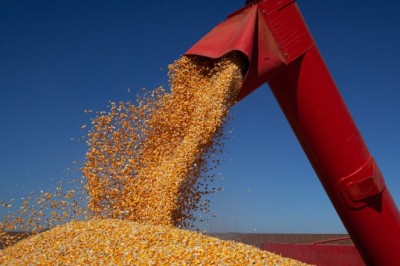 Goiás mantém 3ª posição no ranking nacional de produção de grãos
