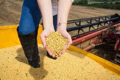 PIB de Goiás cresce 7,7% no primeiro trimestre de 2025