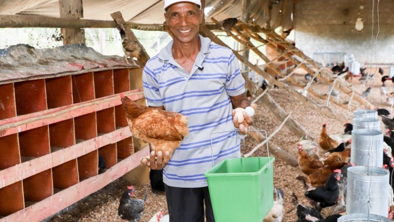 Goiás faz pesquisa para mapear a agricultura familiar no estado