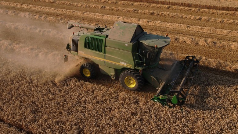 PIB de Goiás cresce 7,7% no acumulado do ano em 2025