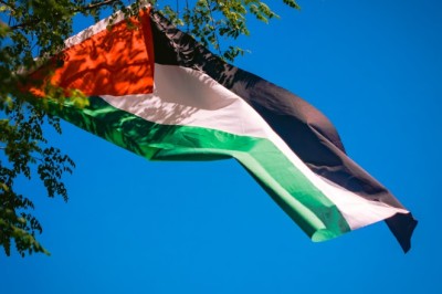 VOLTANDO EM PAZ:  Kits humanitários enviados pelo Brasil chegam ao Egito para serem entregues em Gaza