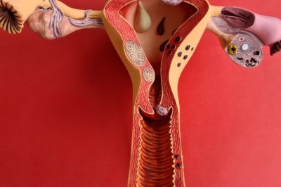 Mulher: prevenção e diagnóstico precoce são essenciais no combate ao câncer