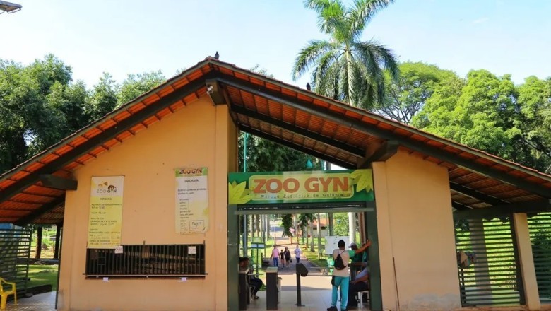 Zoológico de Goiânia realiza atividades educativas sobre serpentes e jacarés