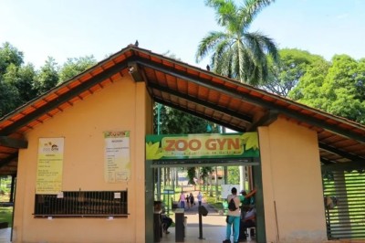 Zoológico de Goiânia realiza atividades educativas sobre serpentes e jacarés