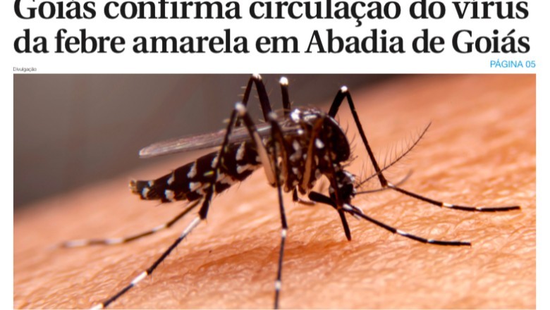 Edição 6193