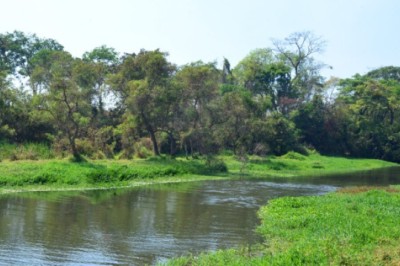 Rio Meia Ponte entra em nível crítico 2
