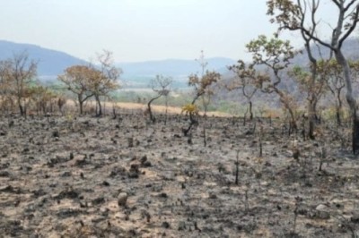 Fazendeiro é preso por incêndio de grande proporção em Quirinópolis
