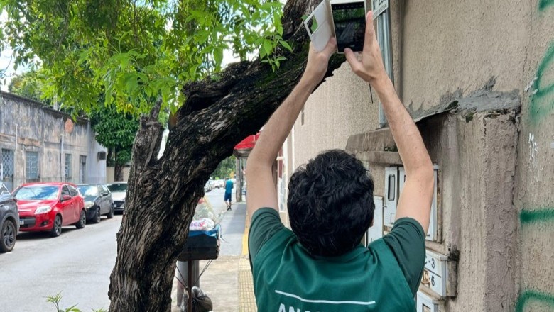 Goiânia orienta sobre regras para poda e retirada de árvores