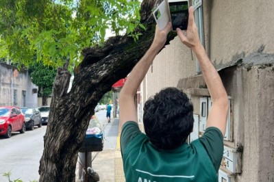 Goiânia orienta sobre regras para poda e retirada de árvores