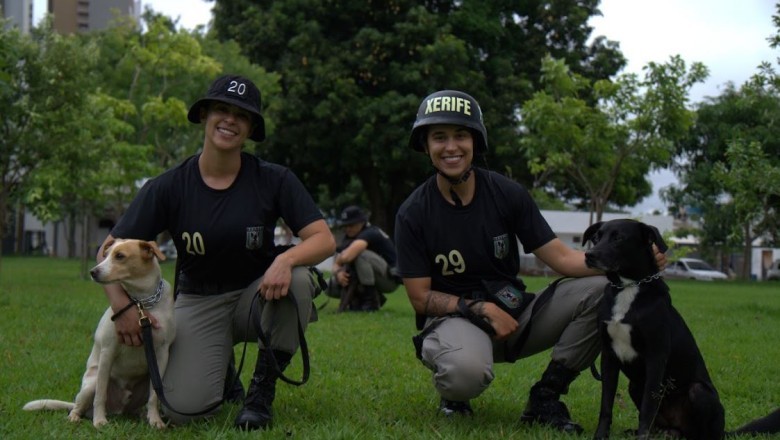 PMGO promove adoção de cães resgatados após curso de adestramento