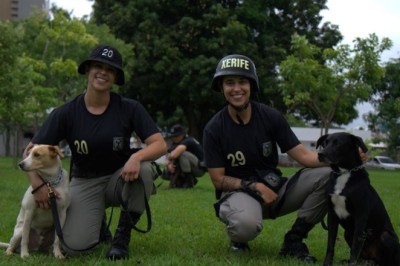 PMGO promove adoção de cães resgatados após curso de adestramento