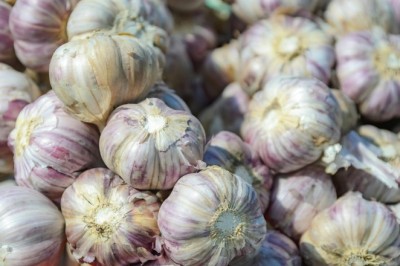 Valor da produção de alho em Goiás cresce 210% na última década