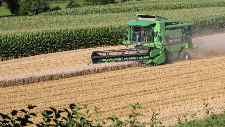 Balança comercial de Goiás tem superávit de US$ 7,3 bilhões até novembro