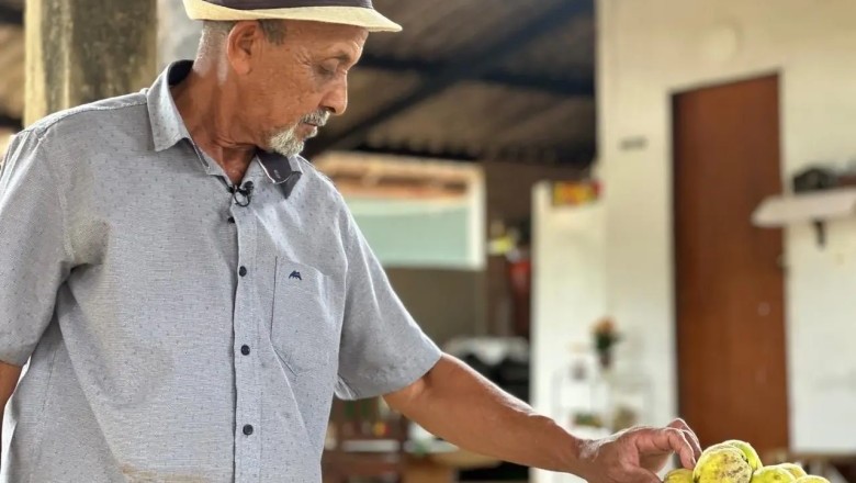 Festa do Marmelo chega à 24ª edição em Cidade Ocidental