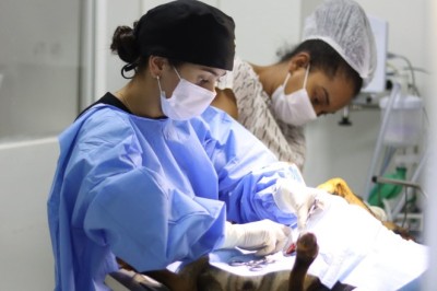 Senador Canedo promove feira de adoção no dia 24