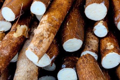 Produção de mandioca cresce 83% em Goiás