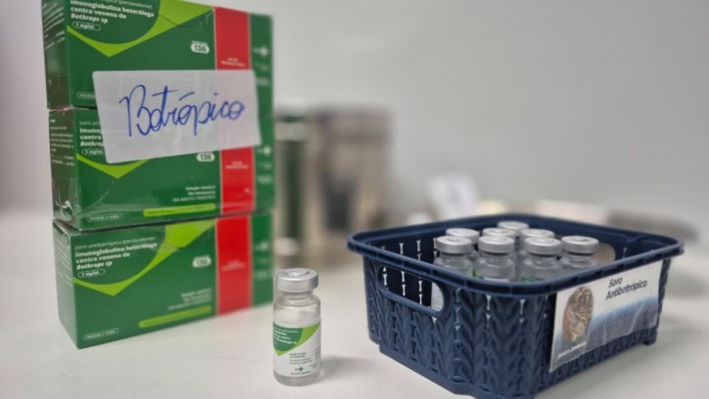 Goiás registra aumento de acidentes com serpentes