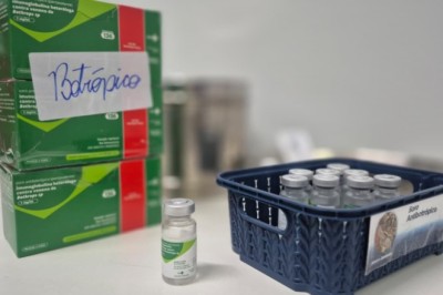 Goiás registra aumento de acidentes com serpentes