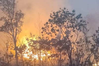 Fapeg lança edital voltado à prevenção a incêndios e proteção da biodiversidade em Goiás