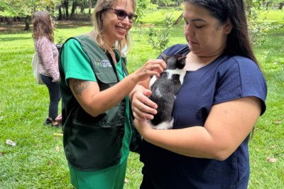 Goiânia detalha serviços da Amma: castração de pets, resgate de fauna, eventos e vistoria de árvores; saiba como solicitar