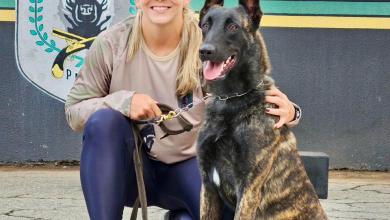 2ª Cãominhada do BPCães já supera 2,5 mil inscritos e promete manhã de esporte, inclusão e cães policiais em Goiânia