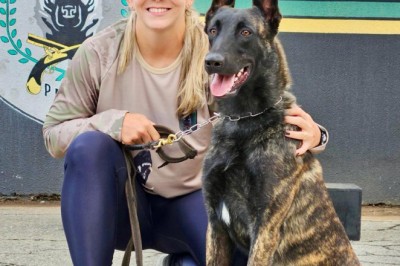 2ª Cãominhada do BPCães já supera 2,5 mil inscritos e promete manhã de esporte, inclusão e cães policiais em Goiânia