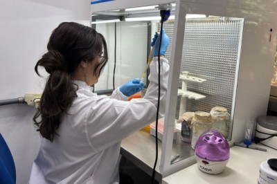 Fapeg prorroga inscrições para bolsas de mestrado no exterior em universidades entre as 100 melhores do mundo