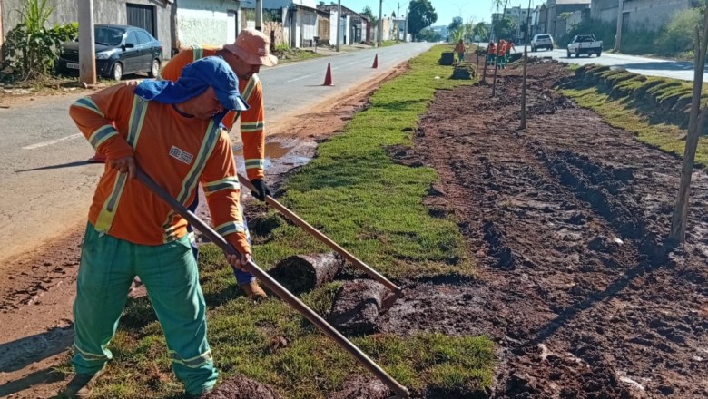 Serviços de arborização e paisagismo avançam em diferentes pontos de Goiânia