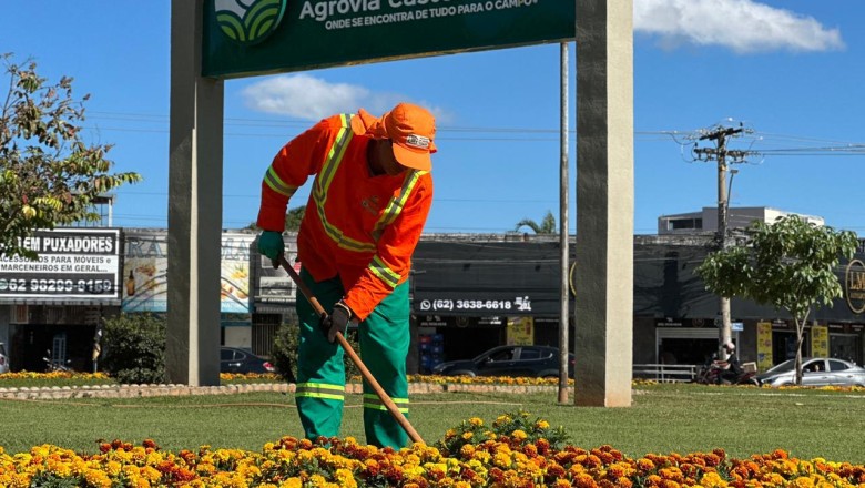 Goiânia renova paisagem com canteiros floridos em sete pontos e anuncia expansão do projeto