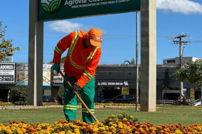 Goiânia renova paisagem com canteiros floridos em sete pontos e anuncia expansão do projeto