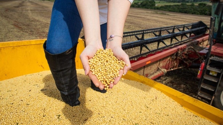 Goiás fecha abril com superávit de US$ 1,047 bi; soja lidera e China concentra 58% das exportações goianas