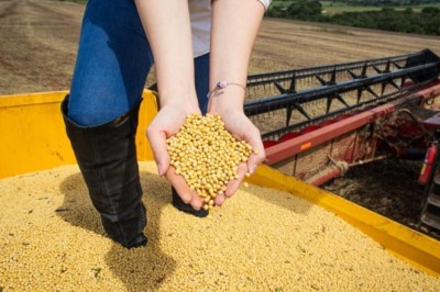 Goiás fecha abril com superávit de US$ 1,047 bi; soja lidera e China concentra 58% das exportações goianas