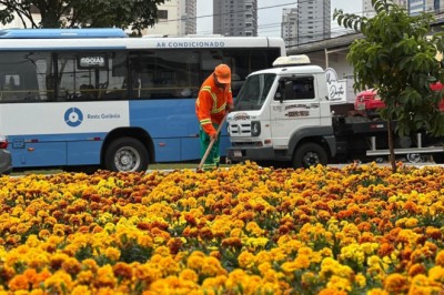 Flores, grama e novos canteiros: Comurg atua em 15 pontos de Goiânia nesta terça-feira (26/5)