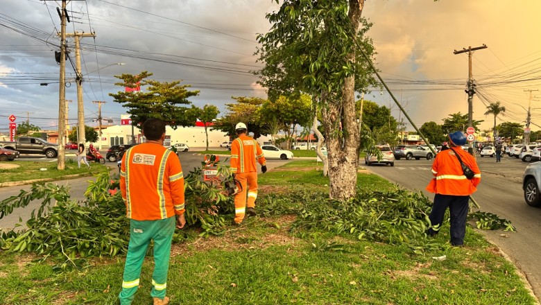 Após 718 chamados por eventos climáticos, Comurg intensifica poda preventiva na estiagem em Goiânia