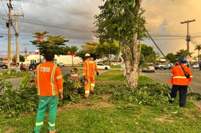 Após 718 chamados por eventos climáticos, Comurg intensifica poda preventiva na estiagem em Goiânia