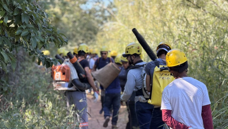 Goiás forma 172 brigadistas comunitários com pagamento por turno para reforçar combate ao fogo no Cerrado