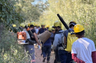 Goiás forma 172 brigadistas comunitários com pagamento por turno para reforçar combate ao fogo no Cerrado
