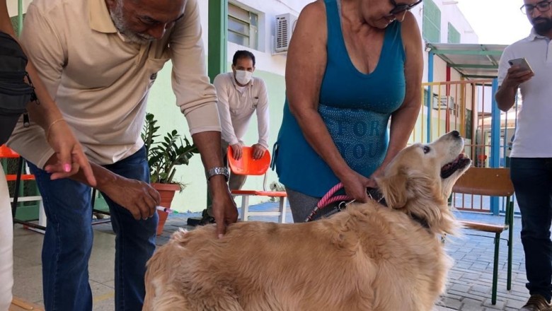 Alerta de raiva em Goiânia: mutirão vacina cães e gatos no Recanto do Bosque nesta quinta (4/6)