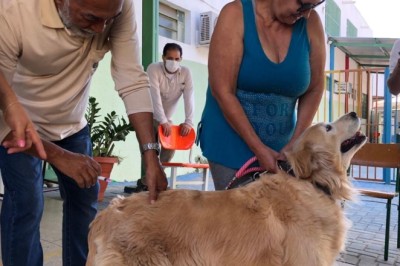 Alerta de raiva em Goiânia: mutirão vacina cães e gatos no Recanto do Bosque nesta quinta (4/6)